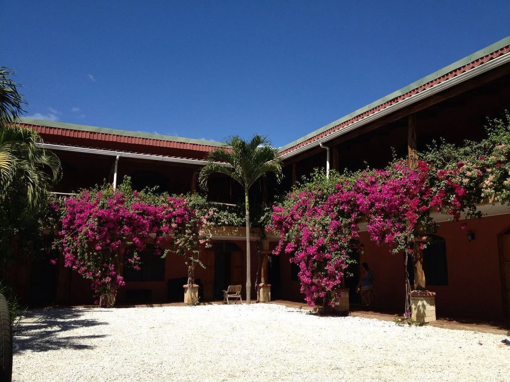 Hotel El Ramal Nosara Exterior foto
